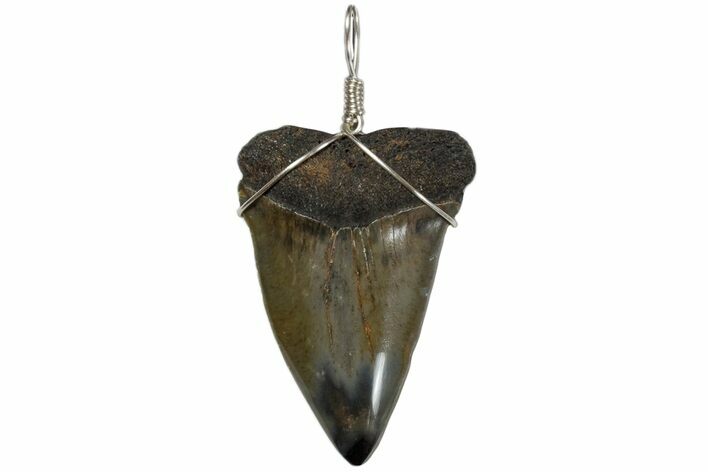 Wire Wrapped Fossil Mako Tooth Necklace #173878